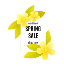 Spring sale vector flowers background. Sale text, colorful plumeria flowers ,template  for spring seasonal promotion.