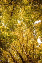 Naturaleza madrile&ntilde;a