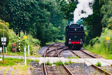 A steam locomotive blowing steam on the tracks in a forest like environemnt