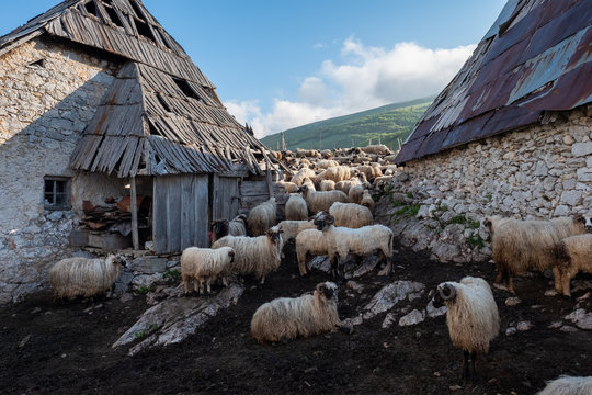 Lukomir, Bosnia and Herzegovina. A sunny, summer afternoon in the village of Lukomir on Bjelasnica Mountain