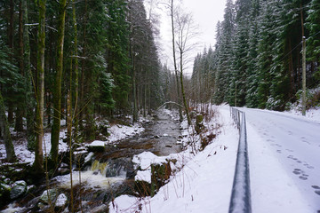 Bachlauf neben einer Straße im Wald 