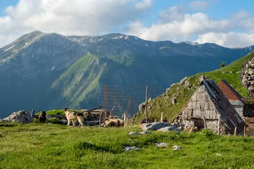 Gordijnen Lukomir, Bosnia and Herzegovina. A sunny, summer afternoon in the village of Lukomir on Bjelasnica Mountain © Kemal Becirevic