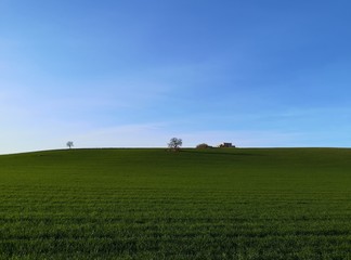 Fototapeta na wymiar green Molise countryside in spring