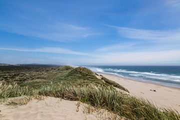 Sand dunes and a vast empty beach on the Oregon coast, on a sunny summers day