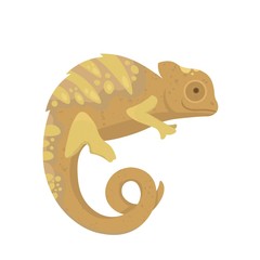 Yellow lizard chameleon isolated on white background. Sienna, pastel, gold colours.