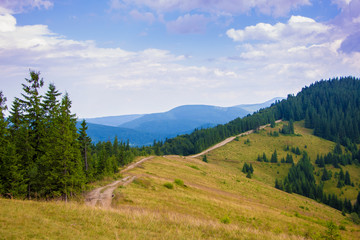 Obraz premium Mountain landscape with dirt road between trees_