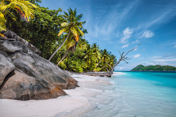 Daytrip to Therese Island. Mahe, Seychelles Coconut palm trees on tropical secluded sandy beach, blue lagoon against a blue sky