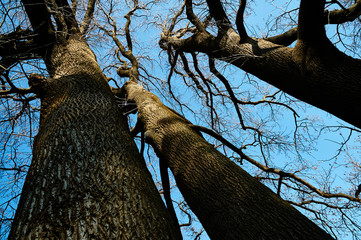 新宿御苑・12月−25