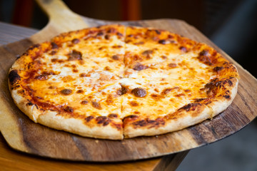 pizza with cheese Delicious fresh,Homemead