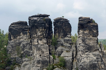 Close-up of four stone fingers rising out of the forest in the famous chalky sandstone cliff area in the Saxon Switzerland, Germany, Europe