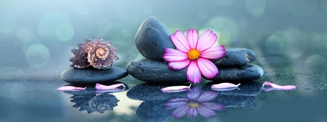 Foto auf Acrylglas Büro Rosa Orchideenblüte und Spa-Steine mit Wassertropfen isoliert.
