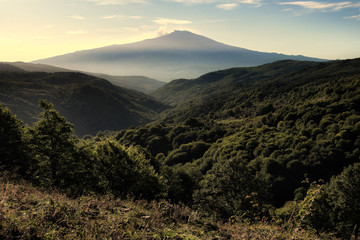 Etna Mount From Forest Of Nebrodi Park, Sicily