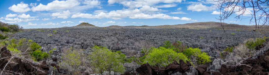 The great Tsingy de Bemaraha of Madagascar in the Tsingy de Bemaraha Integral Nature Reserve of UNESCO Ankarana National Park