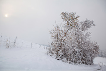 Snowy Winter Landscape. Seasonal Photography.