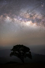The stars and the milky way in the night sky are very beautiful.