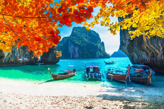 Beautiful nature scenic landscape sea beach in colorful autumn trees, Lao lading island Krabi, Travel in your dream Phuket Thailand beach summer holiday vacation trip, Tourism destination place Asia