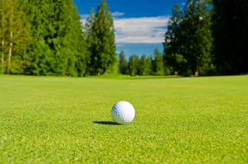 Golf ball on tee over a blurred green. Shallow depth of field. Focus on the ball.