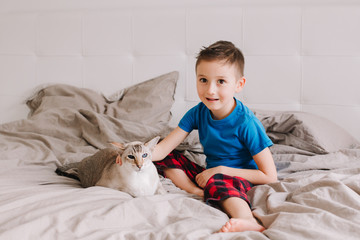 Caucasian preschooler boy sitting on bed in bedroom at home and petting stroking oriental point-colored cat. Child with domestic furry feline animal. Cute candid childhood moment.