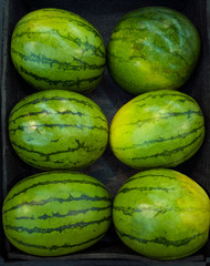 watermelons on display at market