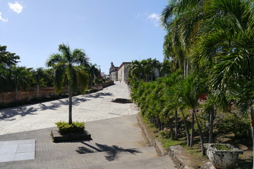 Fototapeta premium Palmen und Mauer am Spanischen Platz in Santo Domingo