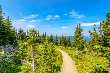 Beautiful Mountain Trail. Blackwall Peak Trail at Manning Park in British Columbia. Canada.