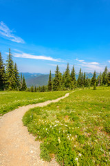 Fototapeta premium Beautiful Mountain Trail. Blackwall Peak Trail at Manning Park in British Columbia. Canada.