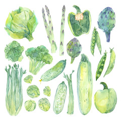 Set of watercolor sketch with fresh green vegetables