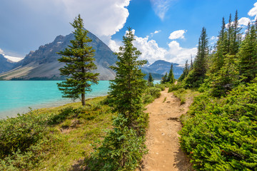Fragment of mountain lake trail in Alberta, Canada, Rocky Mountains.