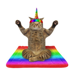 The beige athlete cat unicorn in a sport headband is doing yoga exercises on a rainbow fitness mat. White background. Isolated. © iridi66