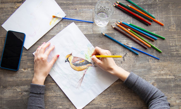 a young girl draws with watercolor pencils