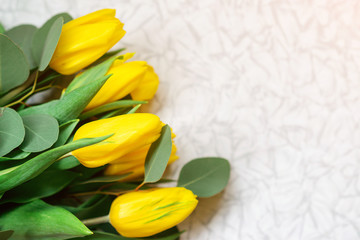 Yellow tulips bunch on white table. Flowers background with copy space. Spring fresh tulips. Happy Mother's Day card.