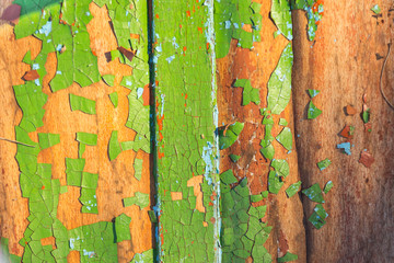 closeup painted wooden board in a crack, outdoor ountryside background