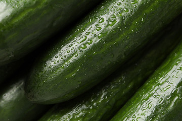Fresh cucumbers with water drops texture background, close up