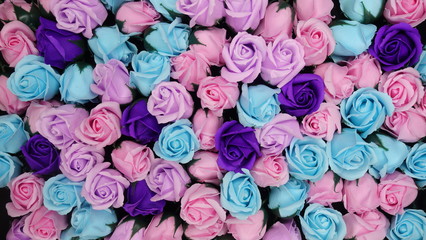 Colorful roses background. Beautiful, good for holidays, valentines's gift.