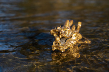 dragon in the water