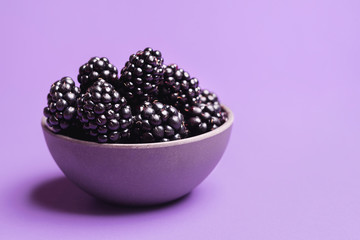 Blackberries in a bowl on purple background. Ripe blackberry fruits