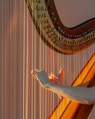 Detail of female hands while plucking the strings of a beautiful harp