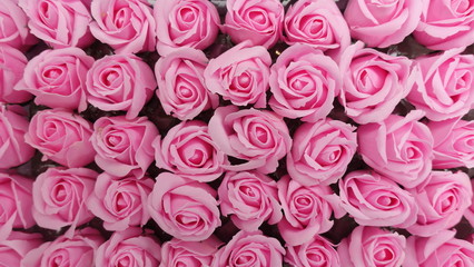 Background image of pink roses