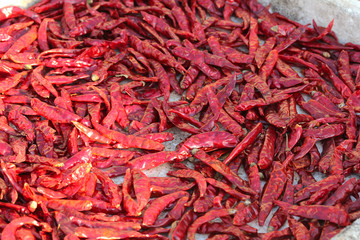 Lot of dried chili. Background and texture.