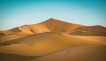 Fototapeta na wymiar Cluster of dunes on a sunny day