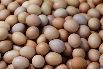 eggs on a background