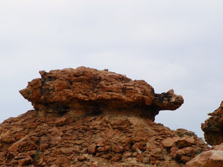 Fototapeta na wymiar Turtle Shaped Rock Formation On Orvakal Rock Garden India