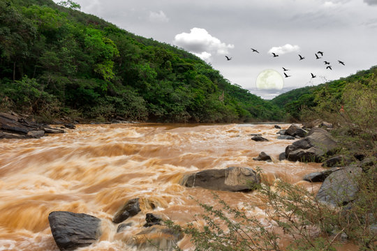 Rio, Com Lua Cheia.River With Strong Current, Limpets, Green Vegetation, Moon Rising, With Birds Flying And Some Clouds, With Gray Sky