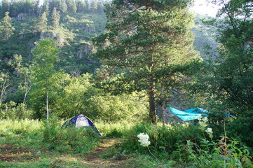 tent in the forest