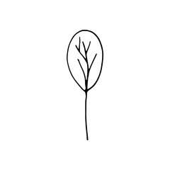 Hand drawn ecology doodle plant and leaves. Vector illustration about environment problems. Sketch elements set for graphic and web design.