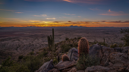 Arizona Desert Sunset - Cactus