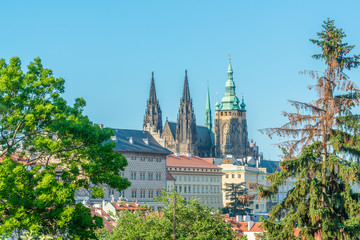 Obraz premium Top view to red roofs and green trees skyline of Prague city Czech republic.