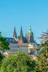 Fototapeta premium Top view to red roofs and green trees skyline of Prague city Czech republic.
