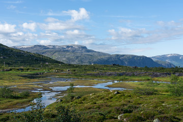 Mountain tundra green landscape view with rivulets, Norway, way to Trolltunga rock.