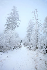 Beautiful winter in a wild area in the Table Mountains in Poland. Snow covered trees at the peak of Skalniak and eroded sandstone rock formations.